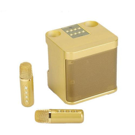 Gold Karaoke Machine with 2 Wireless Microphones Bluetooth-Compatible 5.0 for Parties.
