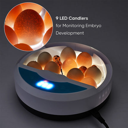 9 Egg Incubator Semi-Automatic Digital Temperature Chicken Duck Eggs Poultry.