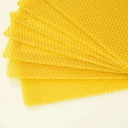 30Pcs Bee Hive Wax Honeycomb Bee Hives Beekeeping Equipment Frames Foundation.
