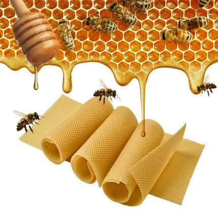 30Pcs Bee Hive Wax Honeycomb Bee Hives Beekeeping Equipment Frames Foundation.