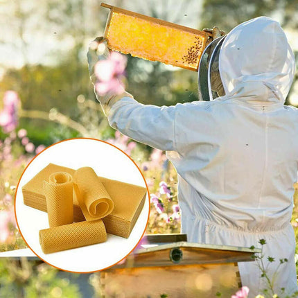 30Pcs Bee Hive Wax Honeycomb Bee Hives Beekeeping Equipment Frames Foundation.