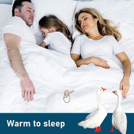 Goose Feather Down Quilt 500 GSM Duvet Doonas Queen:210x210cm.