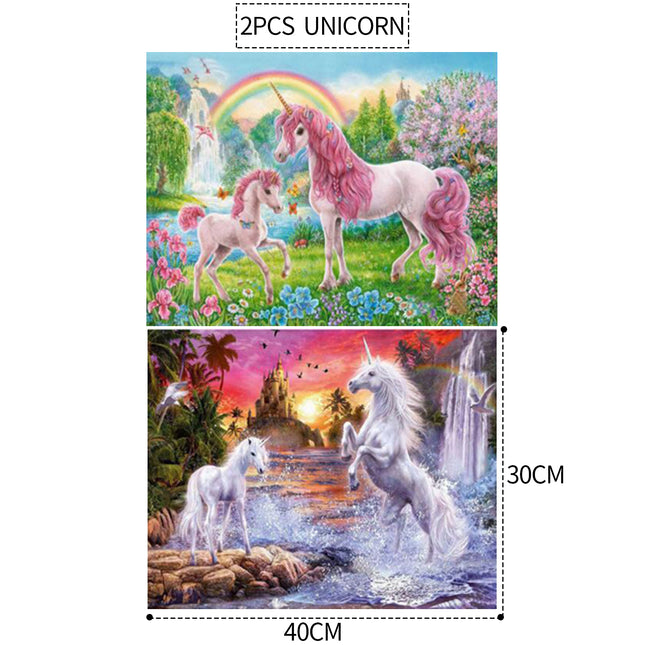 2PCS 5D Diamond Painting Kits Diamond Glue Art Kit Paint for Adults Kids DIY Gift 40x30cm.