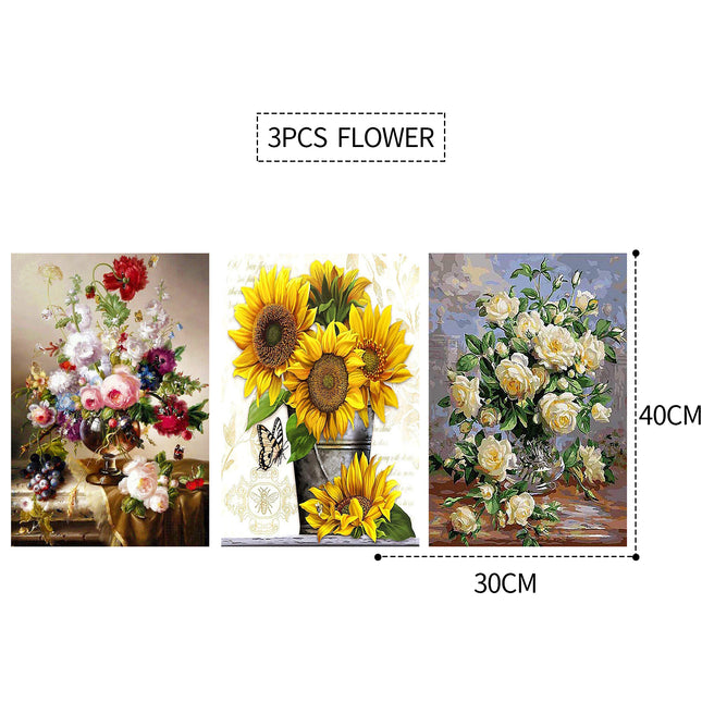 3PCS 5D Diamond Painting Kits Diamond Glue Art Kit Paint for Adults Kids DIY Gift 40x30cm.