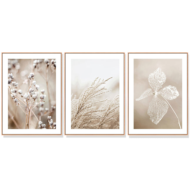 Wall Art 40cmx60cm Dried Flower 3 Sets Wood Frame Canvas.