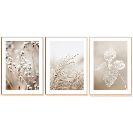 Wall Art 60cmx90cm Dried Flower 3 Sets Wood Frame Canvas.