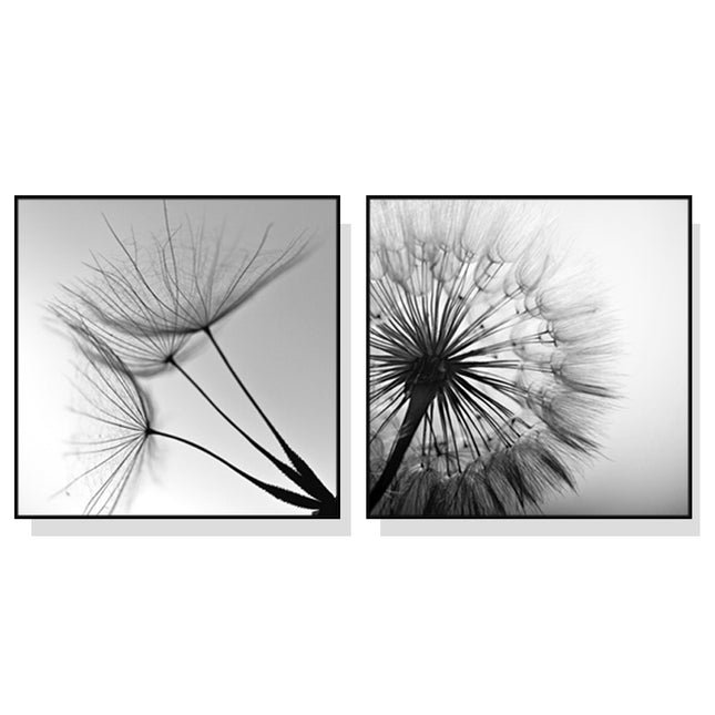 Wall Art 40cmx40cm Black and white dandelion 2 Sets Black Frame Canvas.