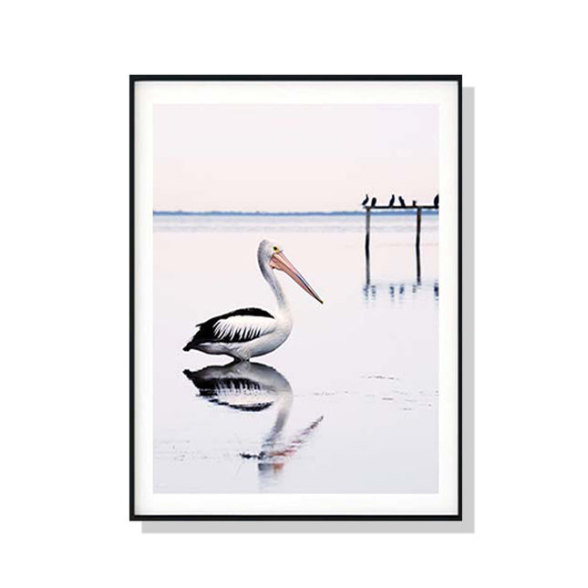 Wall Art 70cmx100cm Pelican Black Frame Canvas.