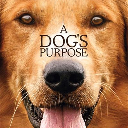 A Dogs Purpose DVD.