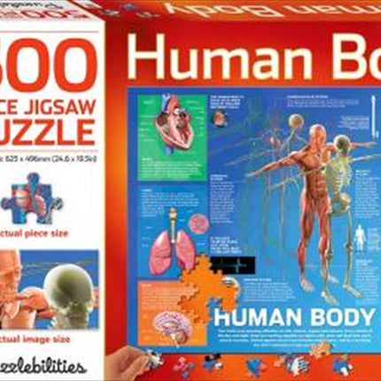 Human Body 500 Piece Jigsaw Puzzle.