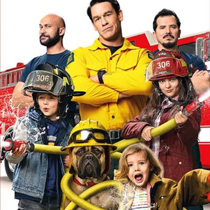 Playing With Fire DVD.