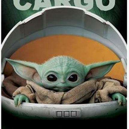 Star Wars: The Mandalorian - Precious Cargo.