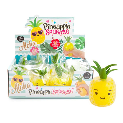 Squishy Bubble Pineapple (SENT AT RANDOM).