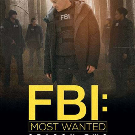 FBI - Most Wanted - Season 2 DVD.