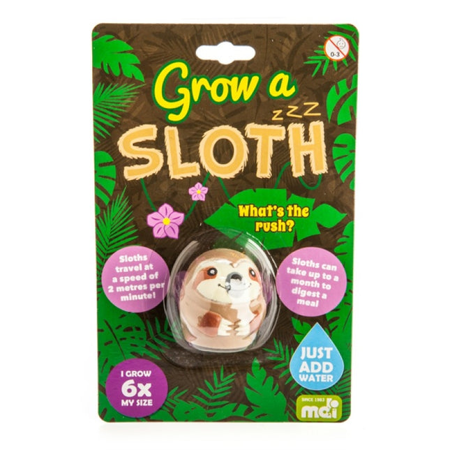 Gift & Novelty > Novelty > Novelty Gifts.