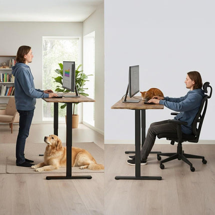 FORTIA Sit to Stand Standing Desk, 160x60cm, 72-118cm Electric Height Adjustable, Walnut Style Desktop/Black Frame.