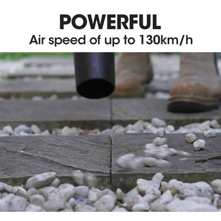 Baumr-AG 20V Lithium Cordless Leaf Blower Electric Hand-held Garden Tool.