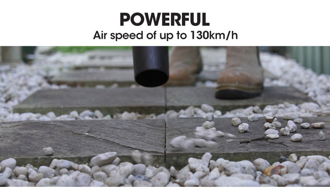 Baumr-AG 20V Lithium Cordless Leaf Blower Electric Hand-held Garden Tool.