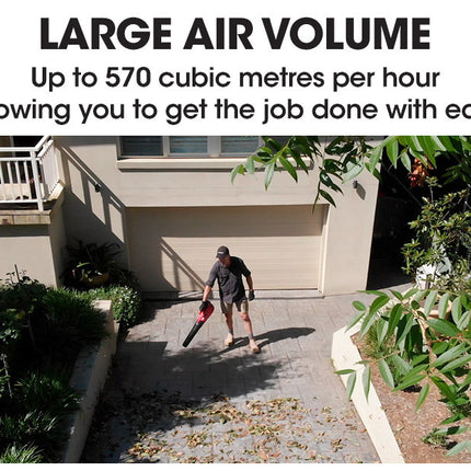 Baumr-AG 20V Lithium Cordless Leaf Blower Electric Hand-held Garden Tool.