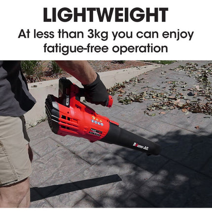 Baumr-AG 20V Lithium Cordless Leaf Blower Electric Hand-held Garden Tool.