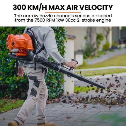 MTM 30CC Backpack Petrol Leaf Blower Yard Garden Commercial Outdoor.