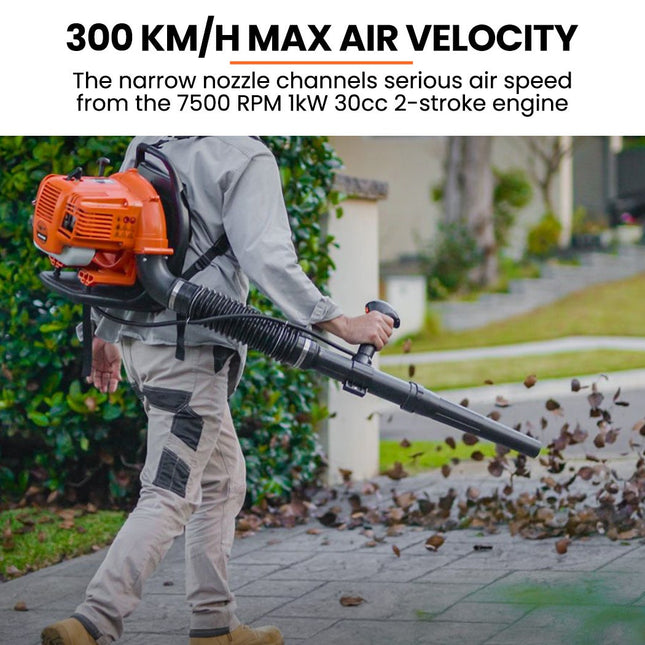 MTM 30CC Backpack Petrol Leaf Blower Yard Garden Commercial Outdoor.