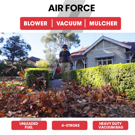 Baumr-AG Petrol Leaf Blower Vacuum 4 Stroke - Vac Garden Commercial Hand Outdoor.