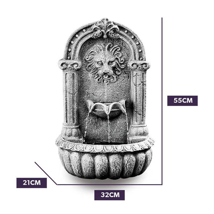 PROTEGE Lion Head Solar Powered Water Feature Fountain, Traditional Design, with Panel Kit, LED Lights.