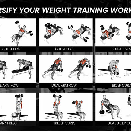 PROFLEX Weight Bench Workout Gym Press Adjustable Lifting Fitness Folding Bands.