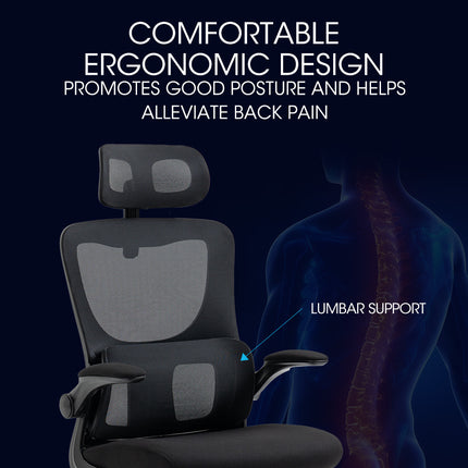 FORTIA Ergonomic Office Desk Chair, Lumbar Support, Mesh Fabric, Adjustable Headrest, Retractable Armrests, Black.