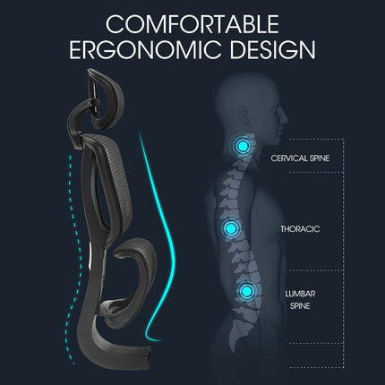 Fortia Ergonomic Office Desk Chair, Coolmesh Fabric, Adjustable Lumbar Support, Headrest, Armrest and Recline, Black Mesh/Black Frame.