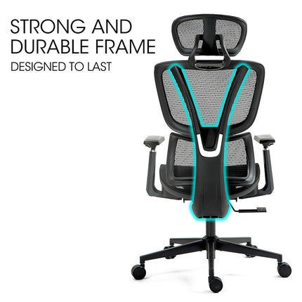 Fortia Ergonomic Office Desk Chair, Coolmesh Fabric, Adjustable Lumbar Support, Headrest, Armrest and Recline, Black Mesh/Black Frame.