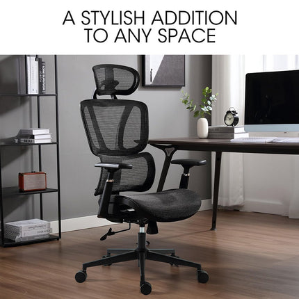 Fortia Ergonomic Office Desk Chair, Coolmesh Fabric, Adjustable Lumbar Support, Headrest, Armrest and Recline, Black Mesh/Black Frame.