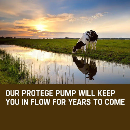 1HP Submersible Bore Water Pump Deep Well Irrigation Stainless Steel 240V.