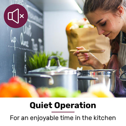 EUROCHEF 60cm Undermount Rangehood Stainless Steel, Quiet 3-Speed, 3-Layer Dishwashable Filter, LED Lights EUR60S.