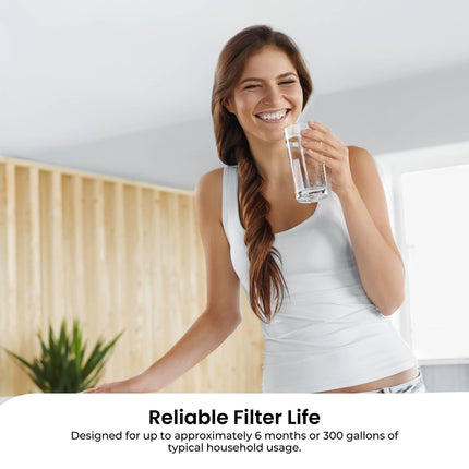 IcePure RWF0300A RFC0300A Inline Fridge Water Filter Replacement 1/4 Inch.