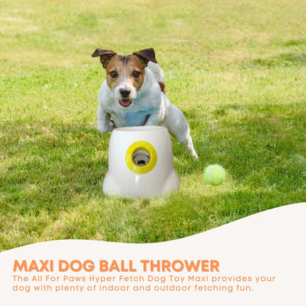 Pet Care Cartoz.
