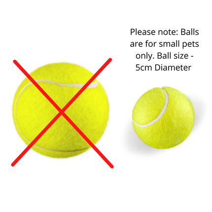 Pet Care Cartoz.