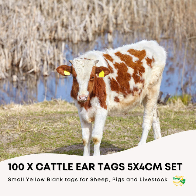 100x Cattle Ear Tags 5x4cm Set - Small Yellow Blank Sheep Pig Livestock Label.