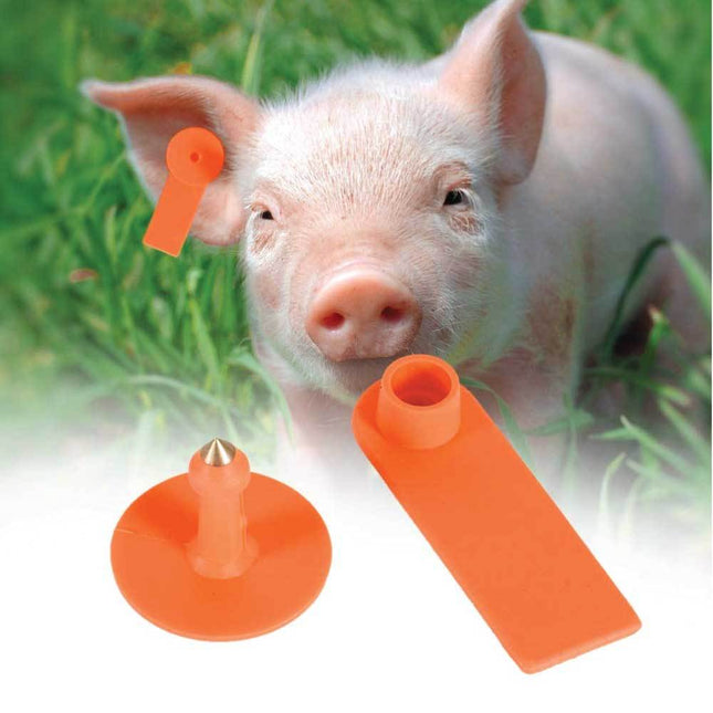 100x Cattle Ear Tags 5x2cm Set - Mini Orange Blank Pig Goat Livestock Label.