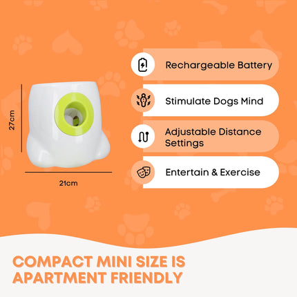 Pet Care Cartoz.