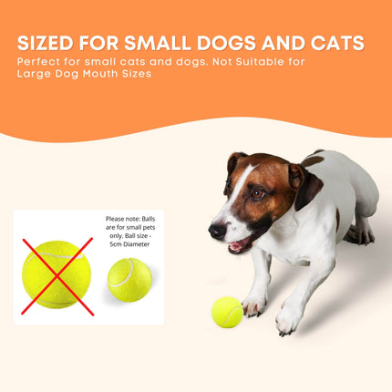 Pet Care Cartoz.