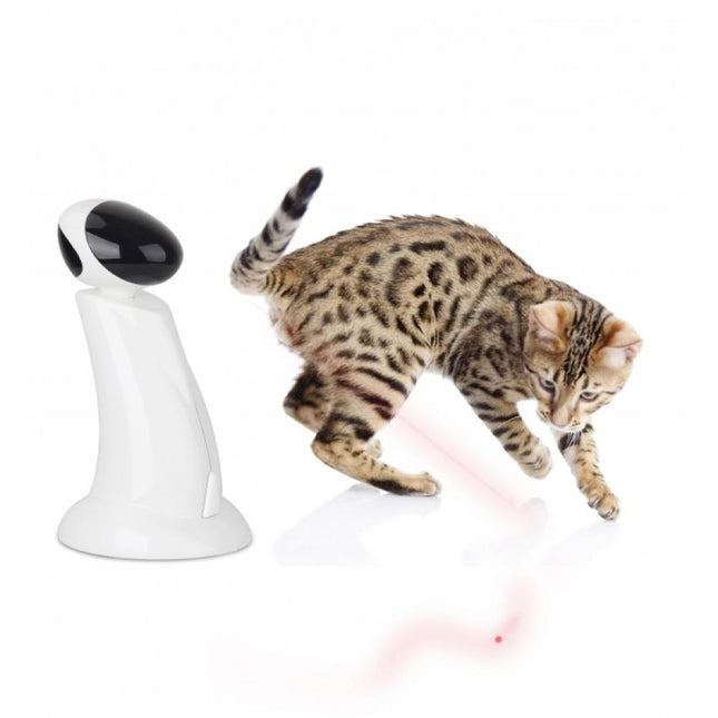 Pet Care.