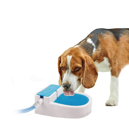 Auto Filling Dog Drinking Water Fountain - Outdoor Automatic Pet Drinking Bowl.