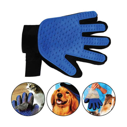 Pet Care Cartoz.