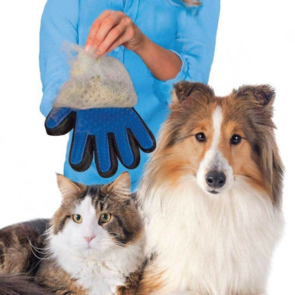 Pet Care Cartoz.