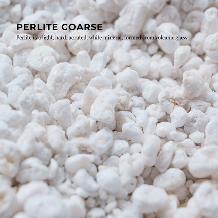 Orku 2Kg Sodium Ascorbate - High Purity Soluble Crystalline Powder Ingredient.