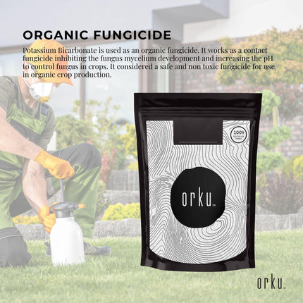 2Kg Organic Potassium Bicarbonate Powder - Food Grade Pure FCC Brewing Baking.