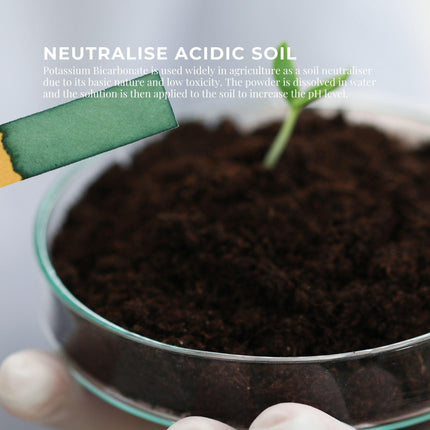 Bulk 20Kg Organic Potassium Bicarbonate Powder Food Grade FCC for Brewing Baking.