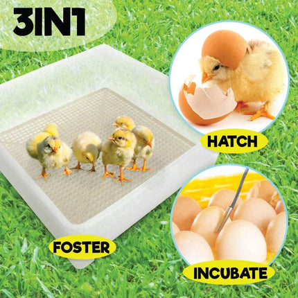 Rooster Farms Electric 112 Egg Incubator + Accessories for Chicken Quail Duck.